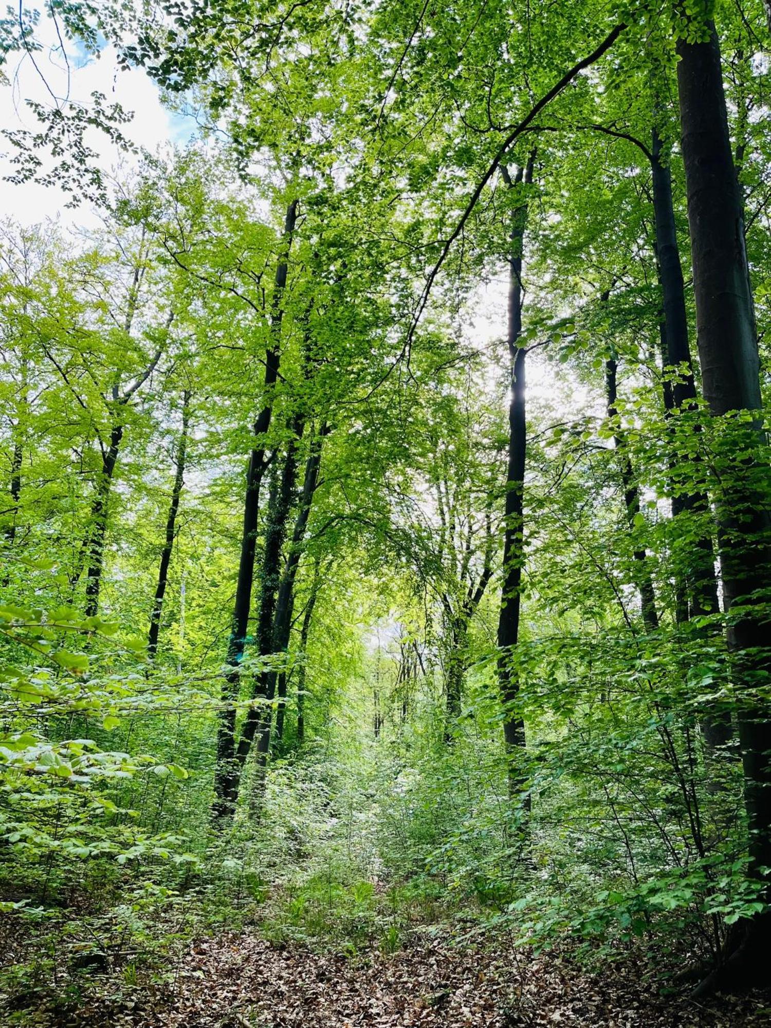 Kornspeicher Himmelpfort Extérieur photo